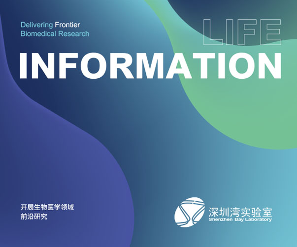 上海新銳標(biāo)志的崛起與標(biāo)志設(shè)計(jì)的未來展望